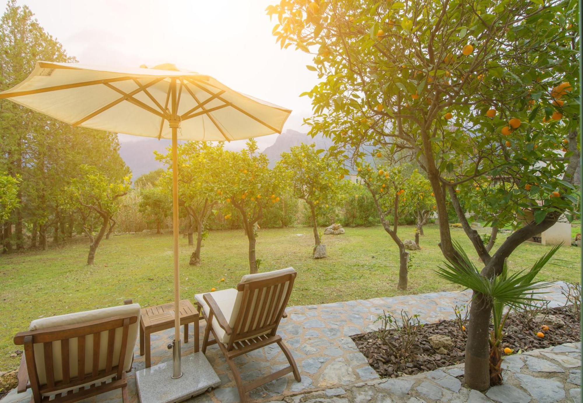 Finca Can Coll Boutique Country House - Adults Only Sóller Kültér fotó